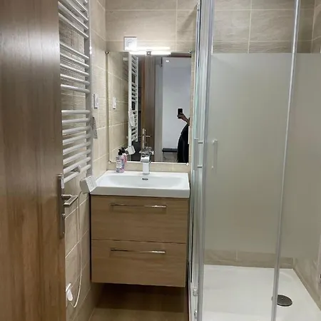Appartement Les Amethystes 2 Le Mont-Dore Extérieur photo